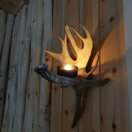 Wild Caribou'S Wildwood Cabin Lakselv Exterior photo